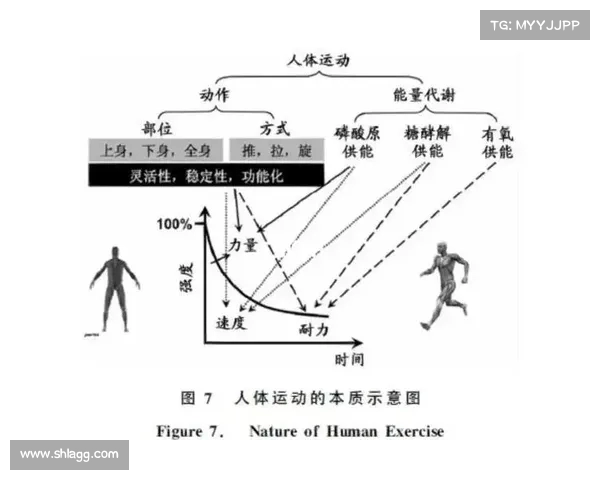 球员体能提升的关键因素与科学训练方法解析