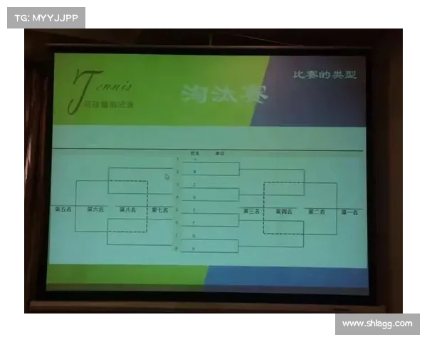 网球比赛主裁判判罚决策的标准与影响因素分析