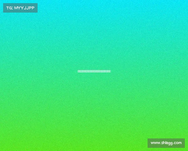 云达不来梅:德甲强队崛起之路与未来发展展望 云达不来梅:德甲强队崛起之路与未来发展展望