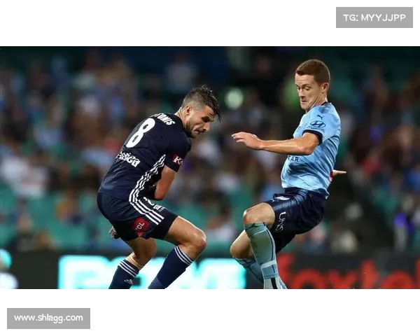 云达不来梅:德甲强队崛起之路与未来发展展望 云达不来梅:德甲强队崛起之路与未来发展展望