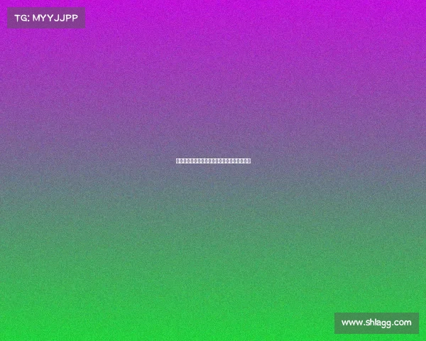 云达不来梅：德甲强队崛起之路与未来发展展望