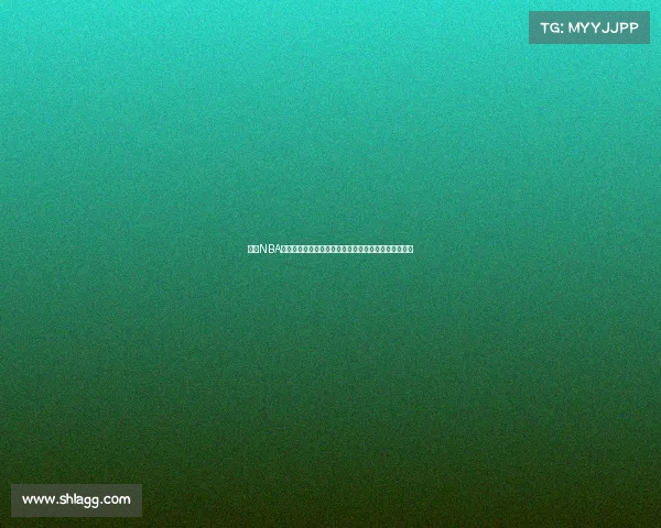 《以NBA经验老将为核心打造全新球队阵容助力年轻球员成长》